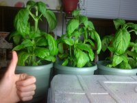 IMG-20111228-00581.jpg