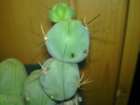 20120320_004.jpg