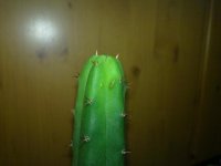20120320_005.jpg