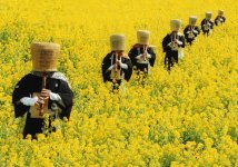 WSF08_yellowfield.jpg