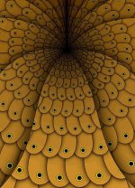 foldingscales2.jpg