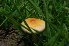 dsc_0066.jpg