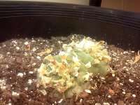 IMG_20120423_105714.jpg