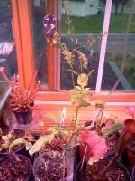 IMG_20120428_173120.jpg