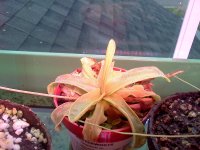 IMG_20120428_173015.jpg