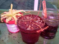 IMG_20120428_173005.jpg