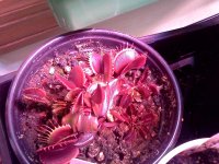 IMG_20120428_172825.jpg
