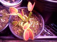 IMG_20120428_172754.jpg