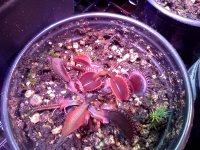 IMG_20120428_172727.jpg