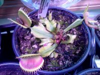 IMG_20120428_172703.jpg