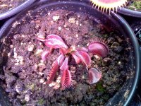 IMG_20120428_172655.jpg