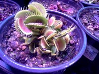 IMG_20120428_172623.jpg