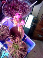 IMG_20120428_172413.jpg