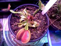 IMG_20120428_172146.jpg