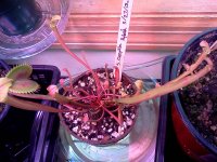IMG_20120428_172106.jpg