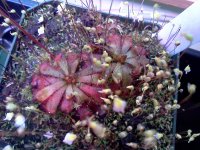 IMG_20120428_171525.jpg