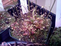 IMG_20120428_171514.jpg