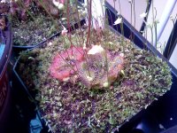 IMG_20120428_171445.jpg