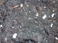 IMG_20120428_171240.jpg