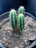 IMG_20120428_171214.jpg