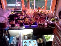 IMG_20120428_171112.jpg