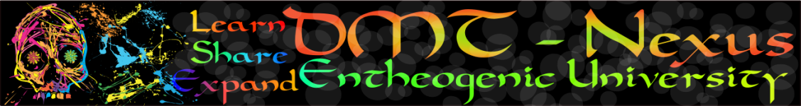DMT+Nexus+Banner+Rainbow+Skull.png