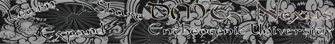 DMT+Nexus+Banner+Black+and+Grey.png