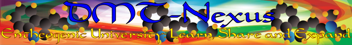 DMT+Nexus+Banner+Rainbow+Molecule.png
