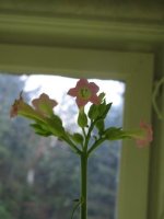 IMG_1824.JPG