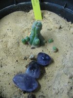 IMG_1829.JPG