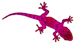gecko01.png