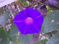 100_6652.JPG