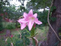 100_6654.JPG