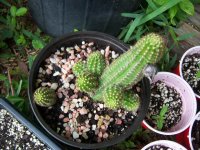 100_6658.JPG
