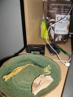 IMG_1837.JPG