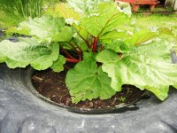 DSCN1579.JPG