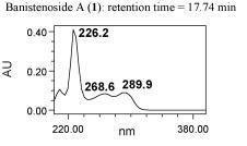 Banistenoside_A_UV_spectra.jpg