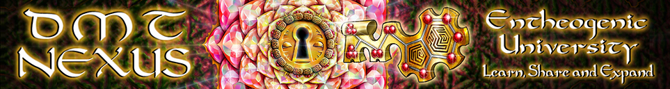 newbanner02.png