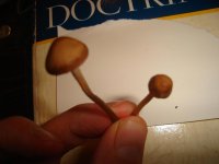 DSC04907.JPG