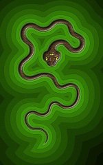 snake1.jpg