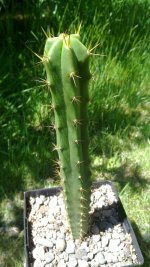 20120612_015.jpg