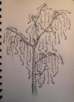 tree1.JPG