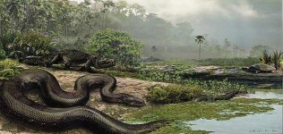 Worlds-Largest-Snake-Colombian-jungle-631.jpg