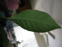 04.JPG