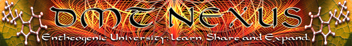 Dmt+Nexus+04.png