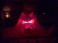 IMG_20100926_005616.jpg