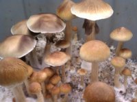 IMAG0899.jpg