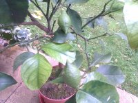 IMAG1059.jpg