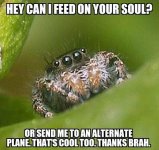 Misunderstood+Spider+SOUL+SUCKER.jpg