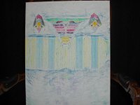 DSC00029.JPG